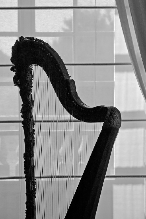 Harp in Reggia di Venaria Reale in zwart-wit