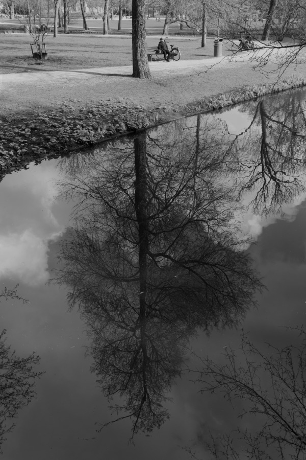 Iepenbrug in Vondelpark, Amsterdam in zwart-wit